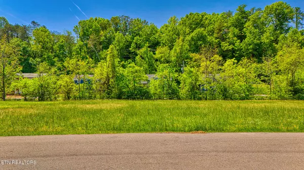 Pigeon Forge, TN 37863,Lot 2 Nancy Street