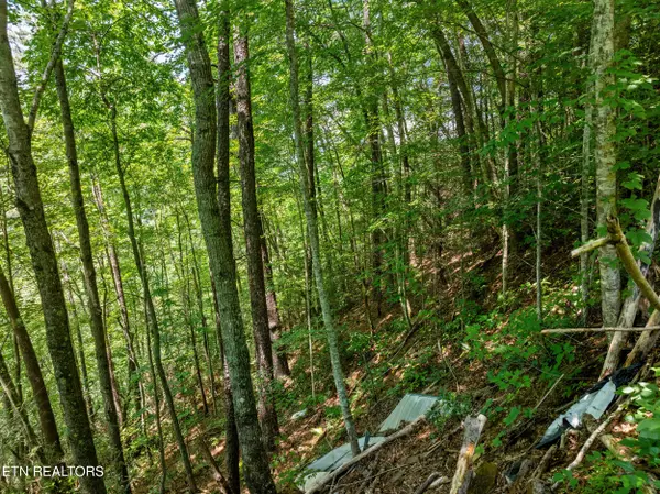 Sevierville, TN 37862,Lot 24&25R Cascades CT
