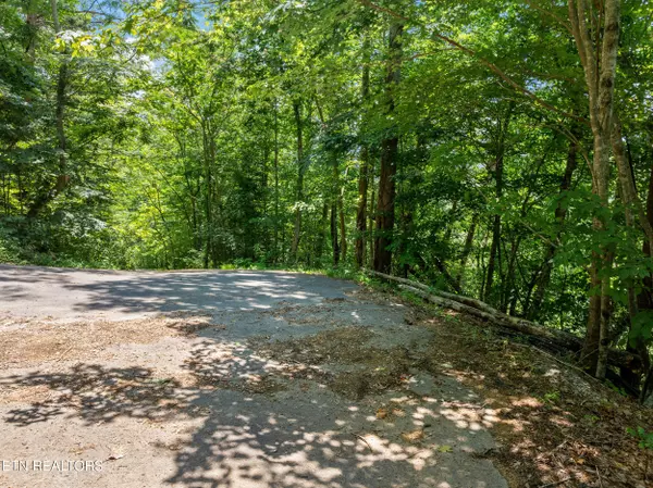 Sevierville, TN 37862,Lot 24&25R Cascades CT