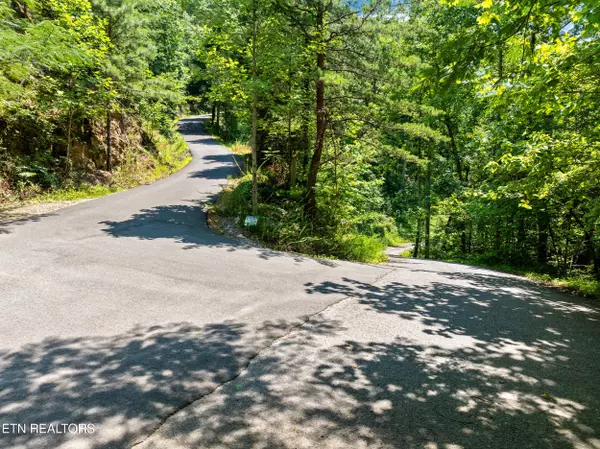 Sevierville, TN 37862,Lot 24&25R Cascades CT