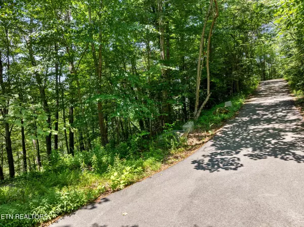 Sevierville, TN 37862,Lot 24&25R Cascades CT