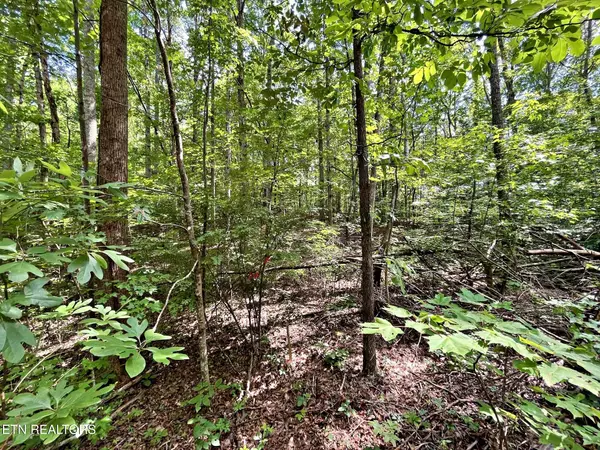 Kingston, TN 37763,Lot 2 Raby Hollow Road
