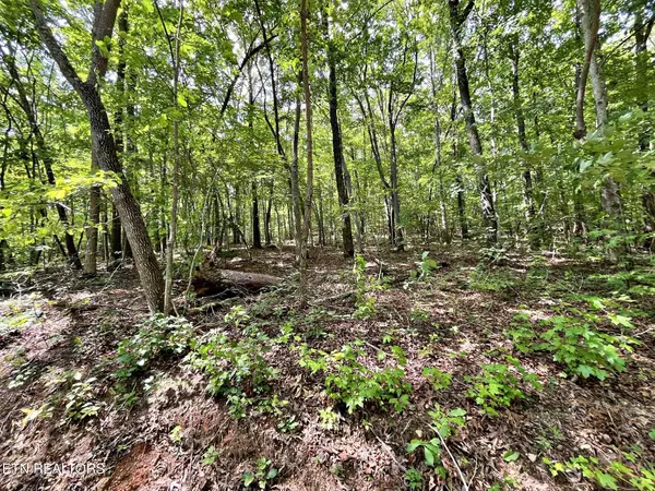 Kingston, TN 37763,Lot 2 Raby Hollow Road