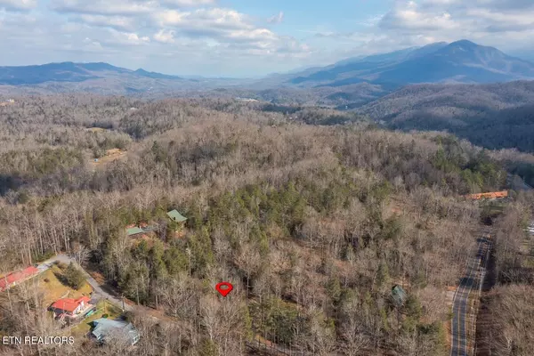 Gatlinburg, TN 37738,216 Whaley DR