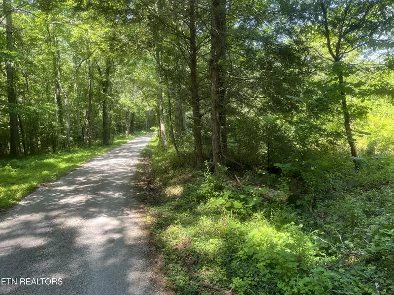 Blizzard Mine Rd, Harriman, TN 37748
