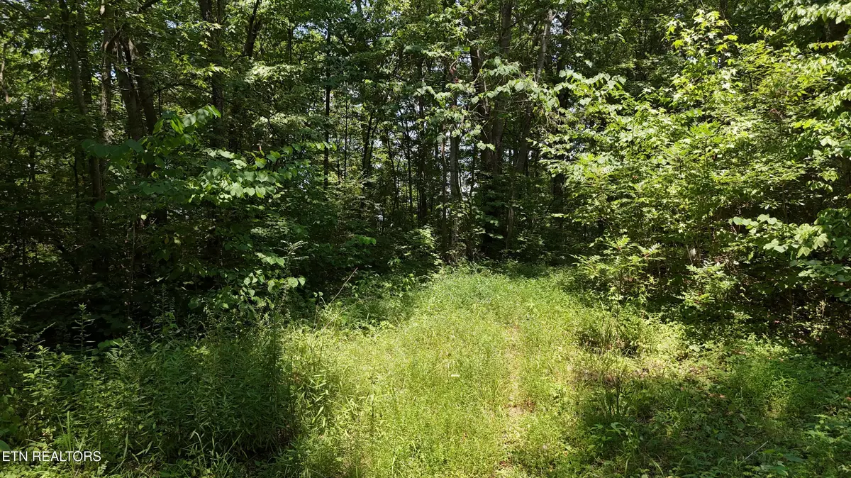 Cleveland, TN 37323,000 Chestuee DR