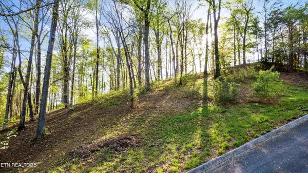 Clinton, TN 37716,Lot 39 Apple Tree DR