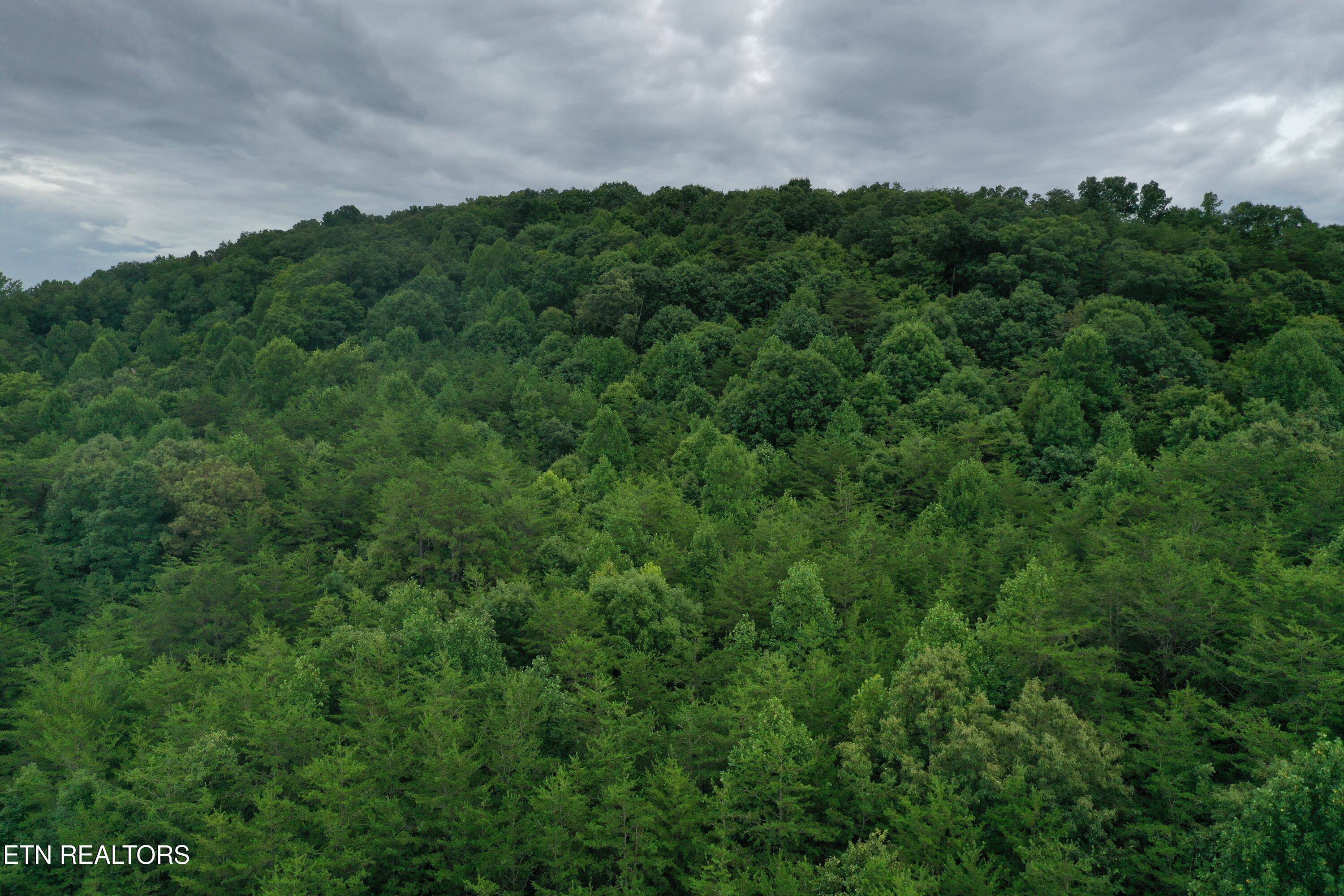 Dandridge, TN 37725,66.48 acres Milldale Rd