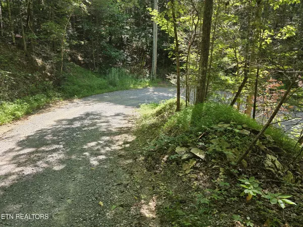 Walland, TN 37886,Waters End Rd