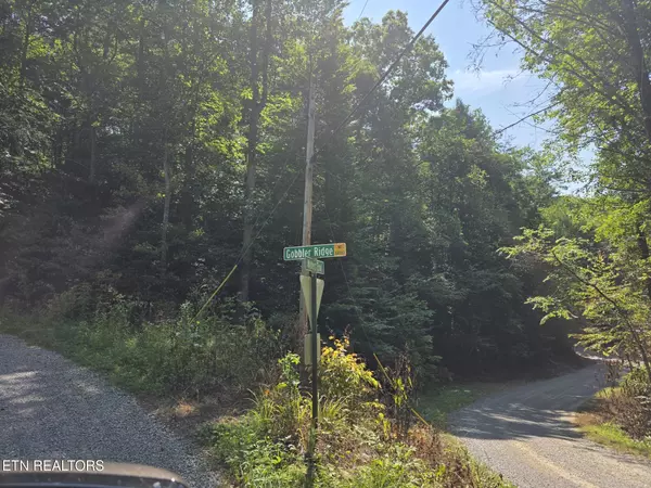 Walland, TN 37886,Waters End Rd