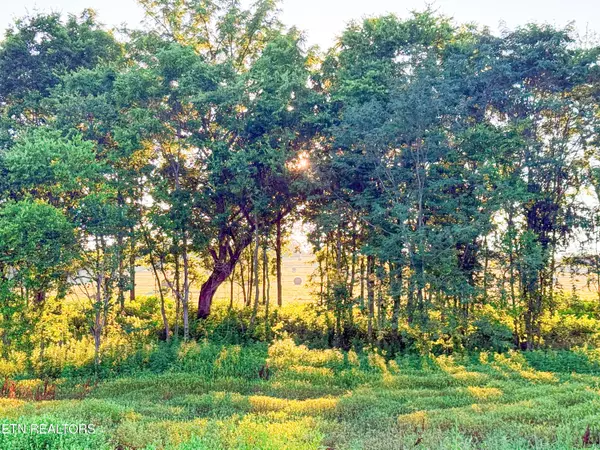 Talbott, TN 37877,Lot 19 Summerset DR