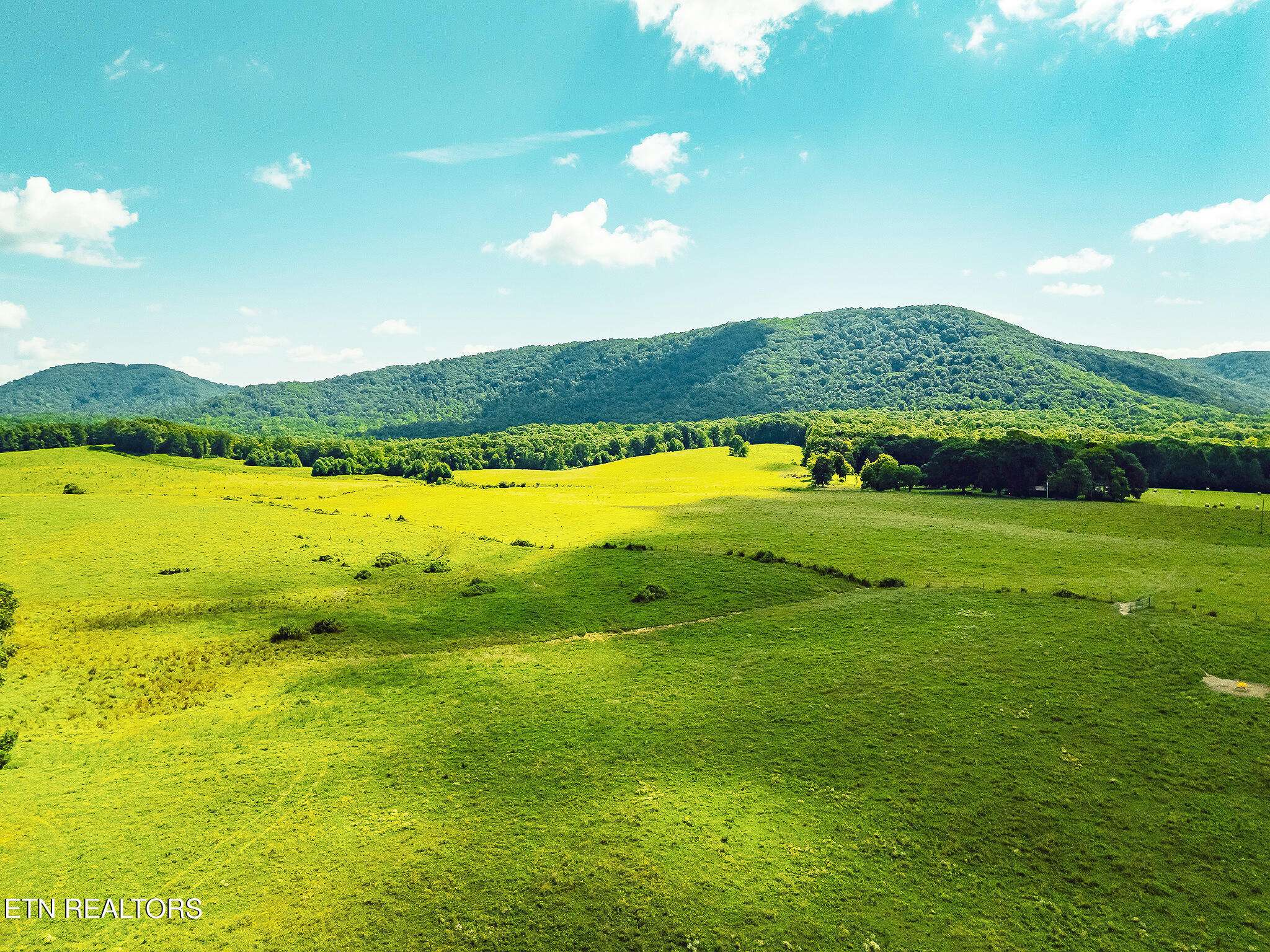 Sunbright, TN 37872,White Oak Circle