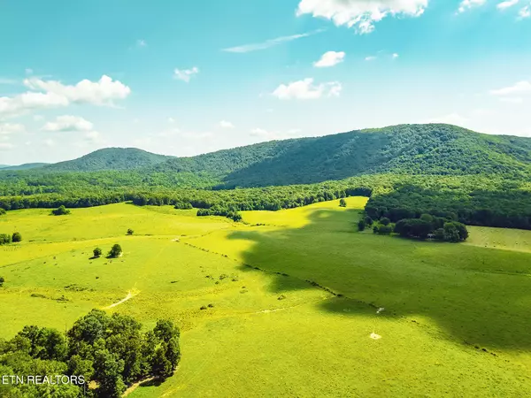 Sunbright, TN 37872,White Oak Circle