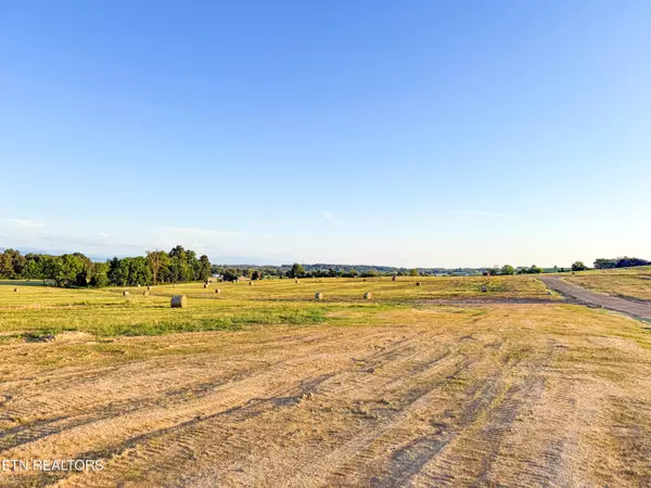 Talbott, TN 37877,Lot 24 Summerset DR