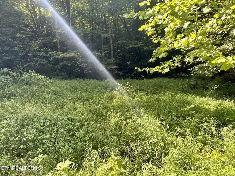 00 Jackson Ridge Rd, Tazewell, TN 37879