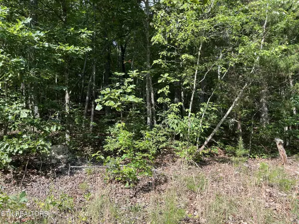 Ten Mile, TN 37880,Lot 1 Keylon Hollow Road