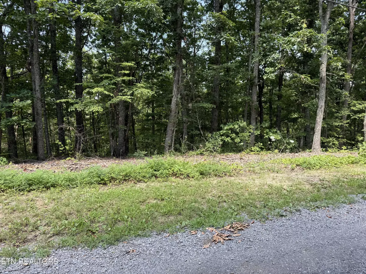 Newport, TN 37821,Lot 36 Pecan LN