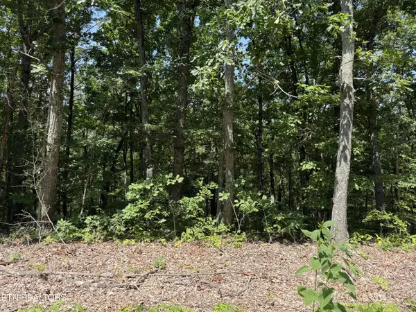 Newport, TN 37821,Lot 36 Pecan LN