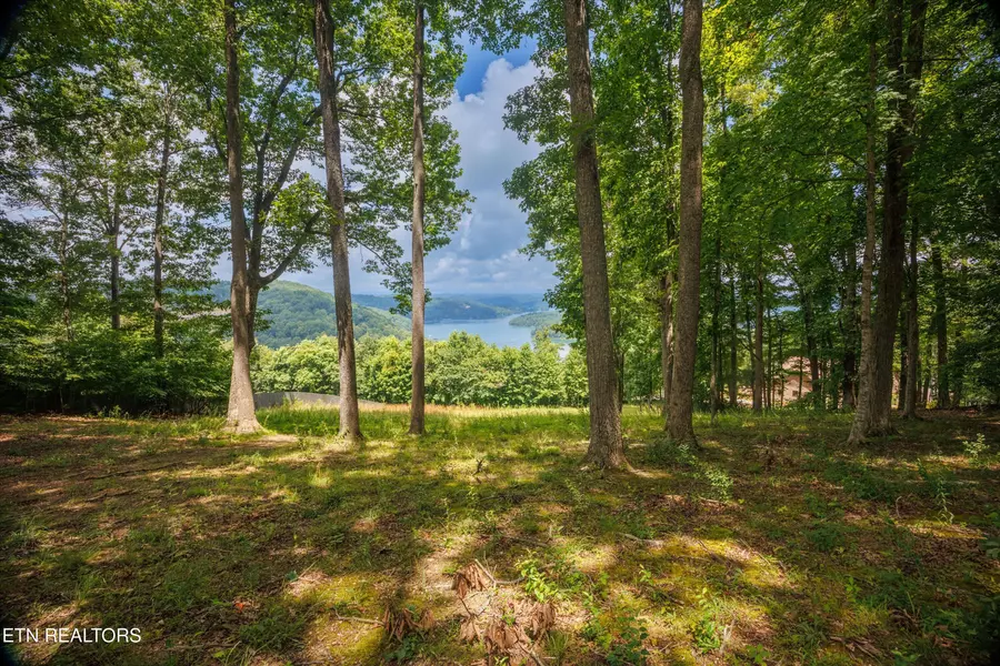 Spinnaker DR, Andersonville, TN 37705