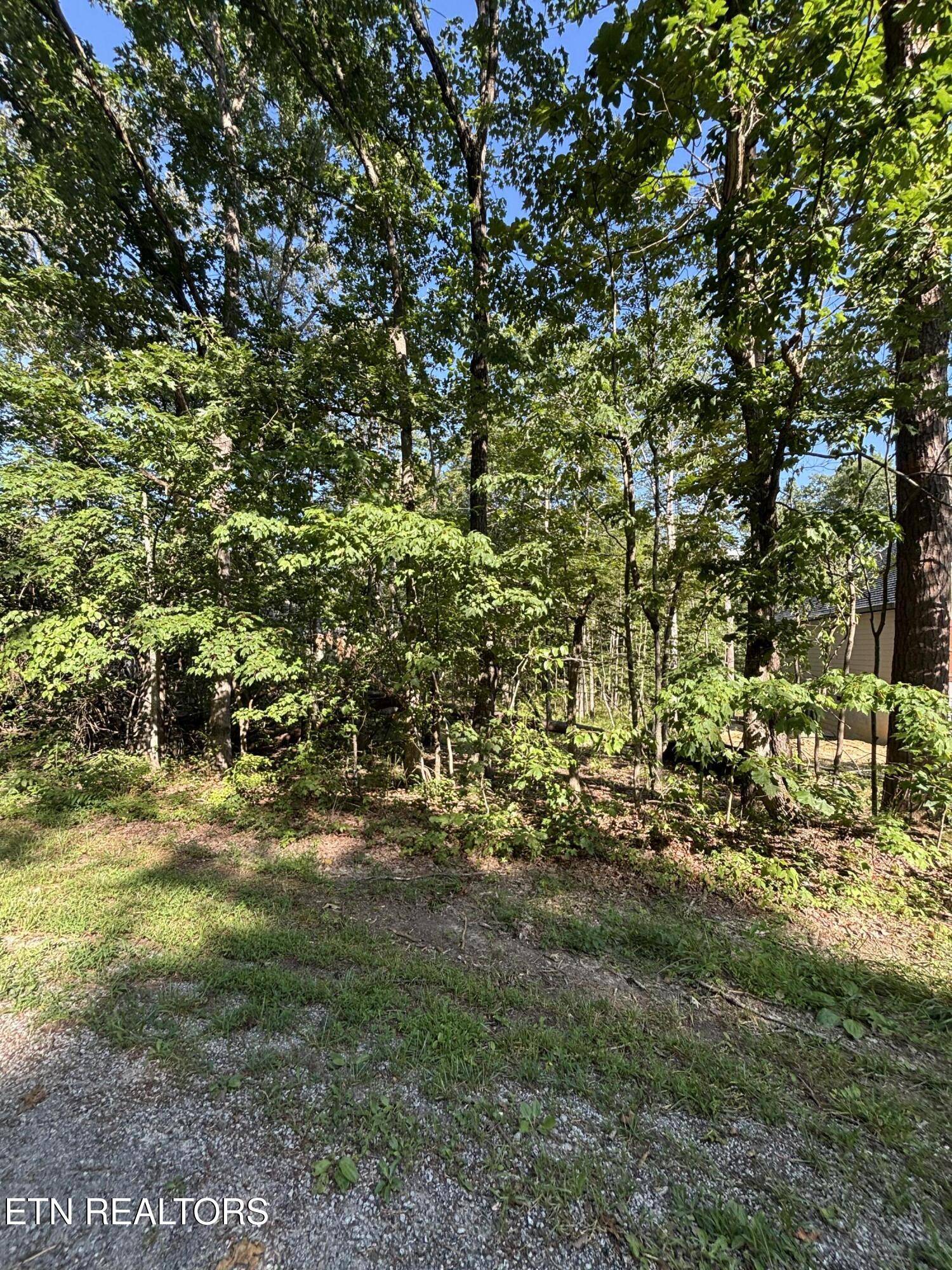 152 Adler LN, Crossville, TN 38558