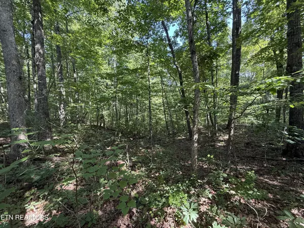 Lot 2 Cove Rd, Monterey, TN 38574