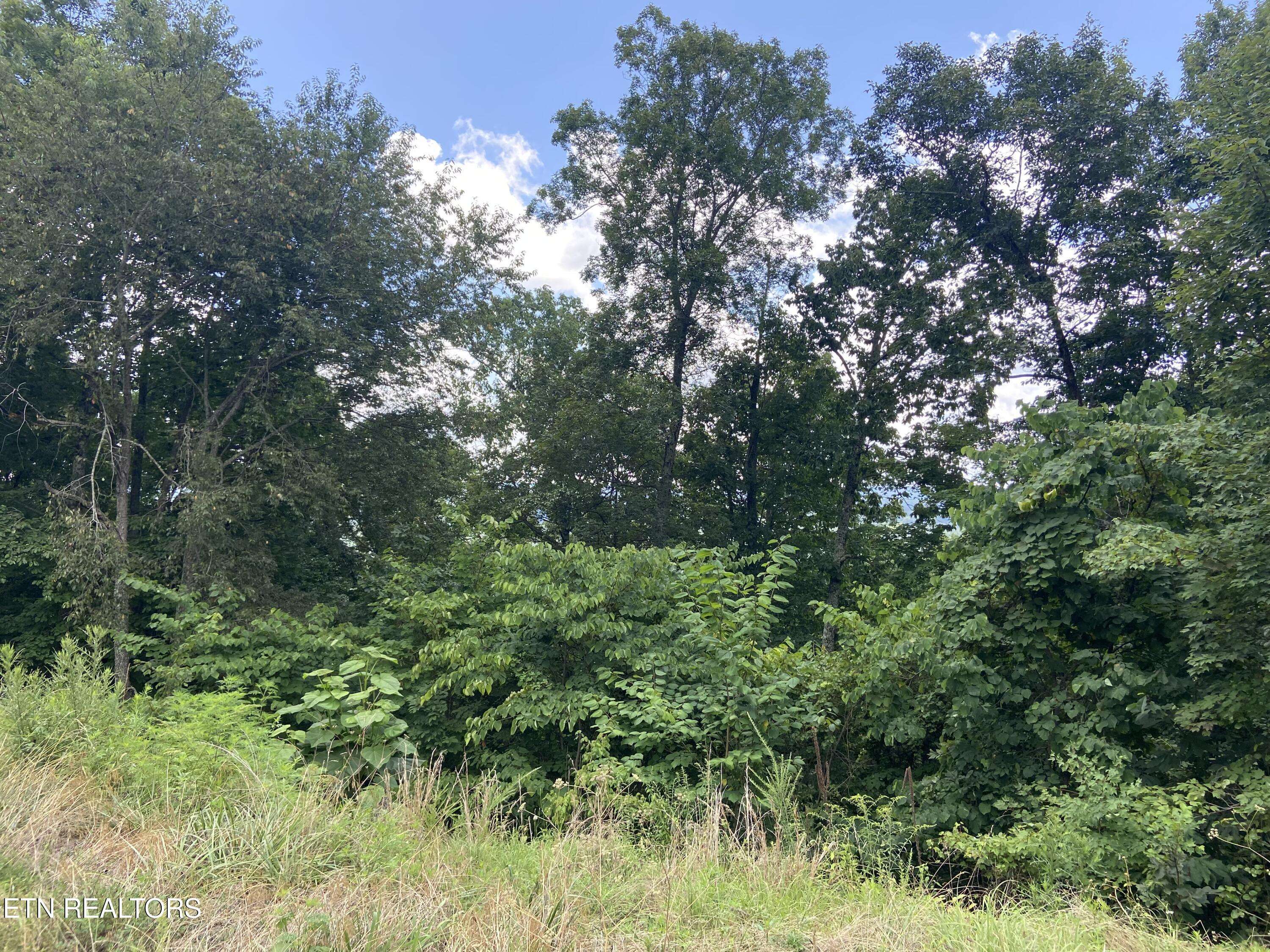 New Tazewell, TN 37825,Whistle Valley Rd