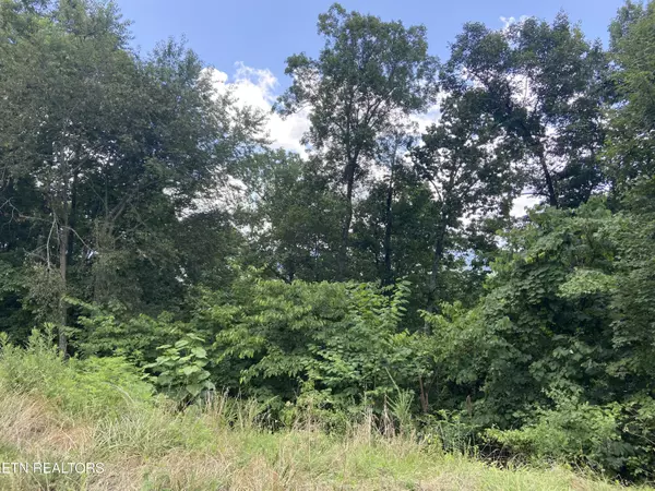 New Tazewell, TN 37825,Whistle Valley Rd