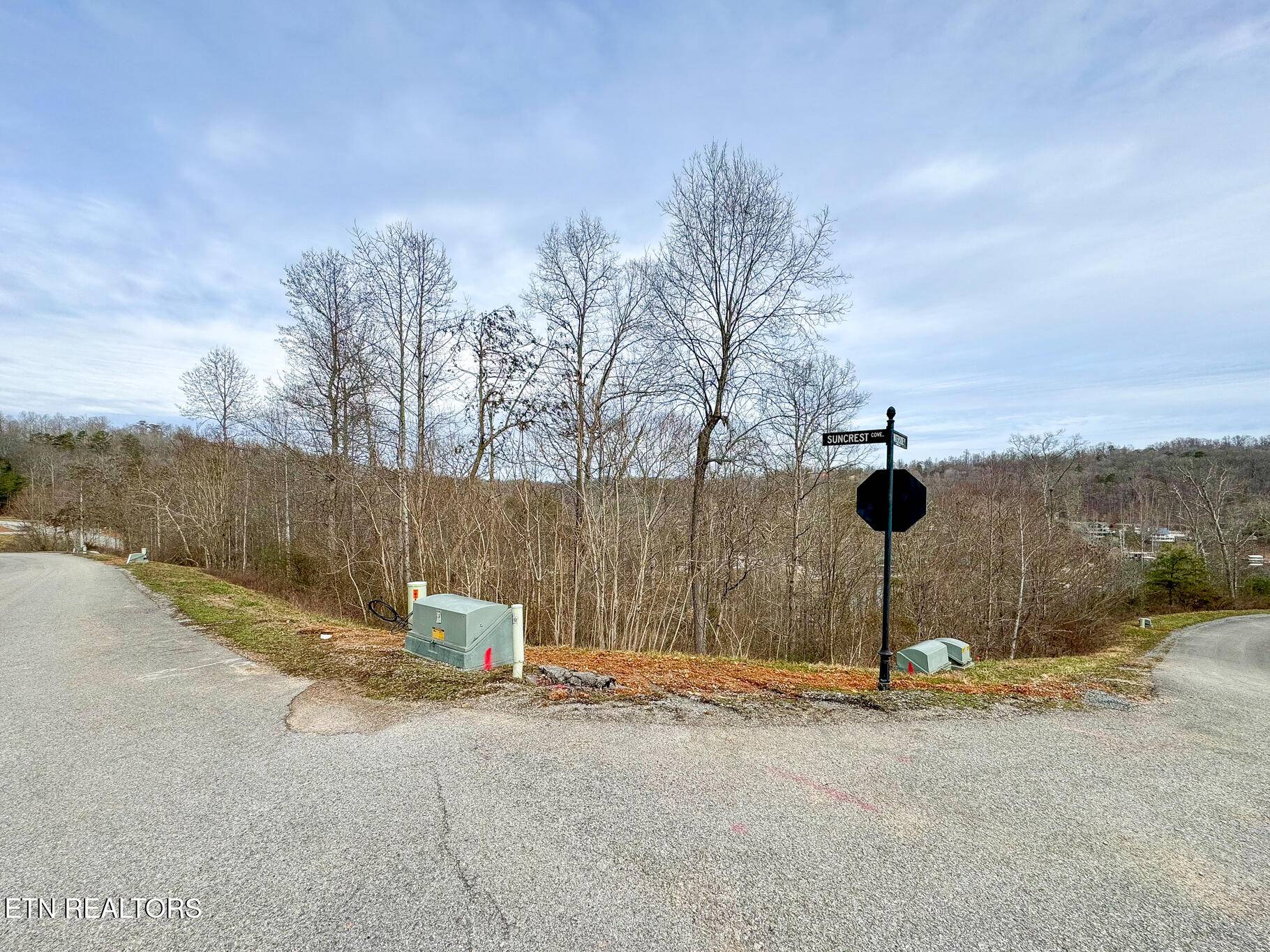 Lafollette, TN 37766,Lot 207 Suncrest CV