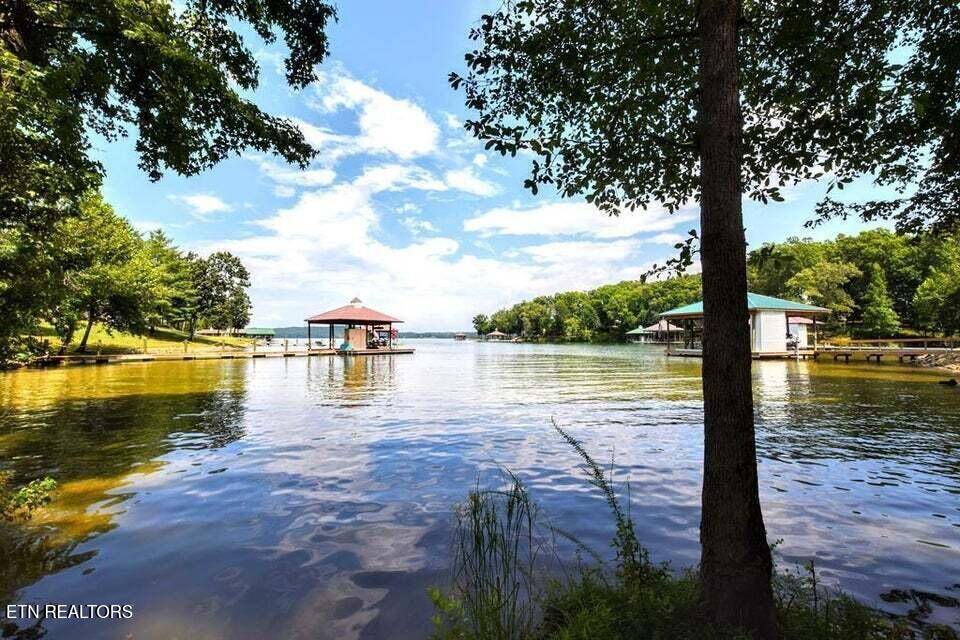 438 Lake Harbor DR, Spring City, TN 37381