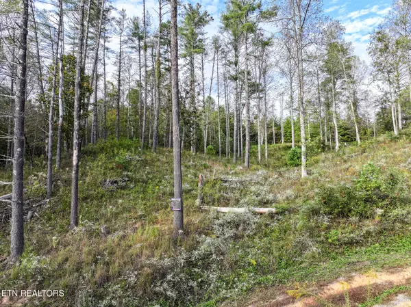 Del Rio, TN 37727,Long Branch Rd Off Rd