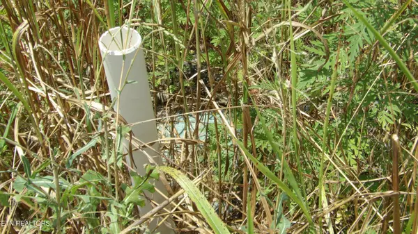 Hilham, TN 38568,Lot 17D Crappie Lane