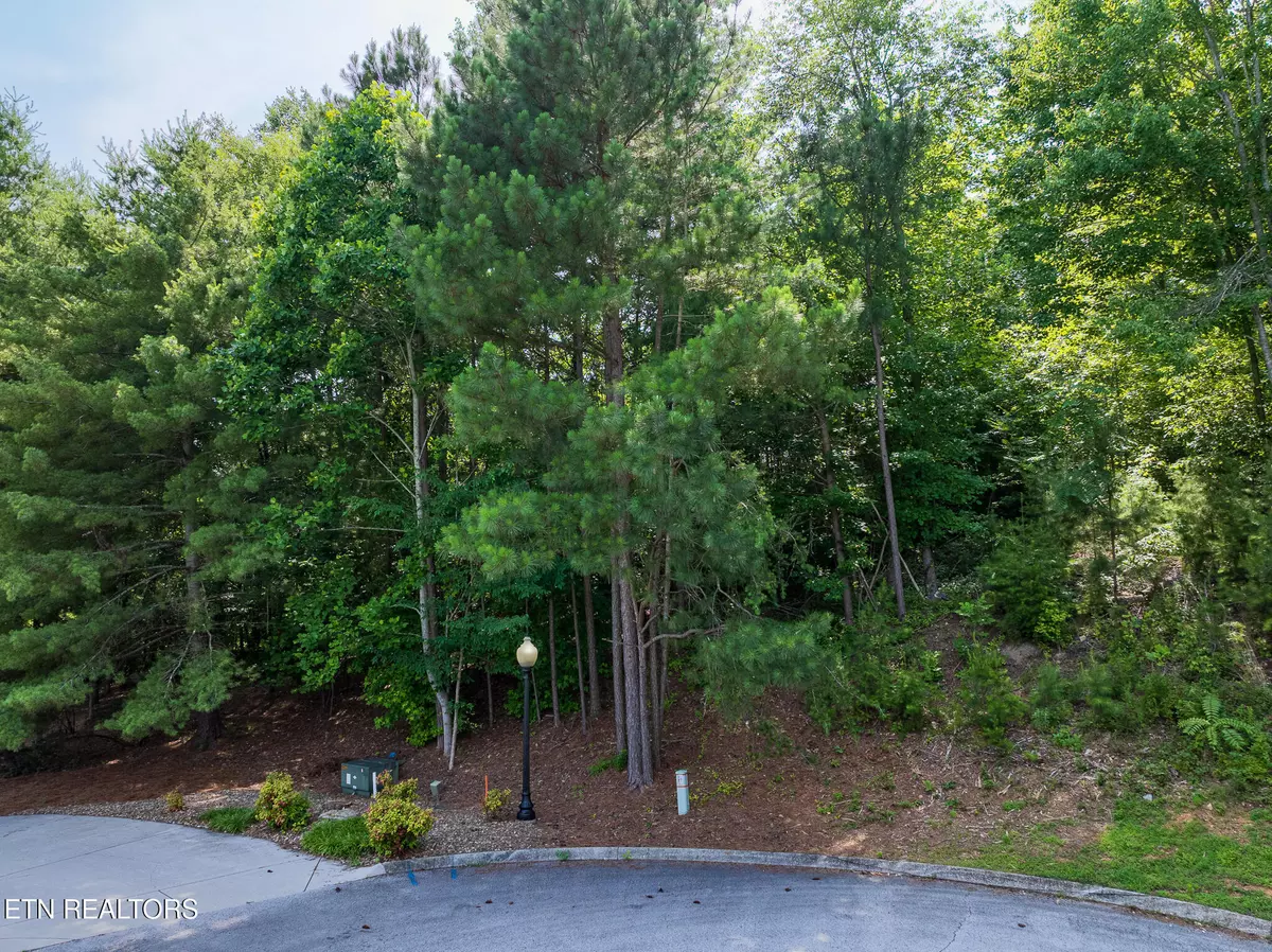 Kingston, TN 37763,Lot 177 Harbour View WAY