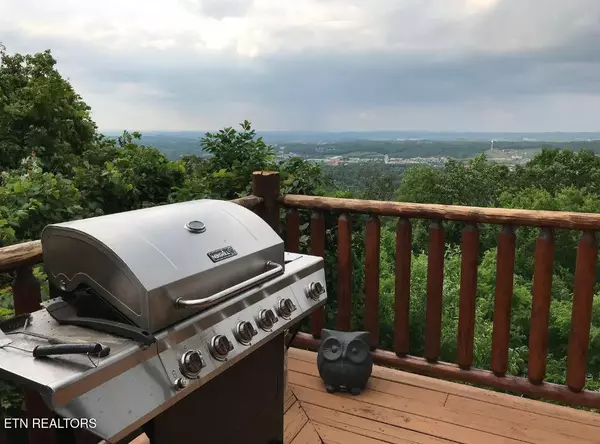 Sevierville, TN 37862,3209 Engle Town Rd