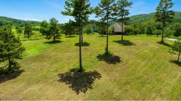 Loudon, TN 37774,Blueberry DR