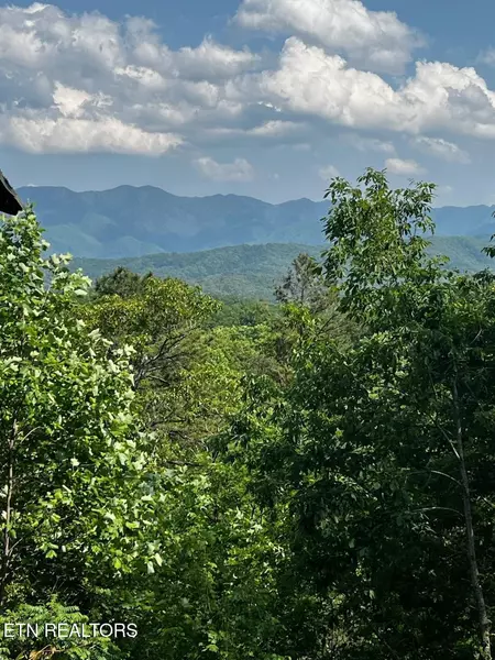 000 Vista DR, Gatlinburg, TN 37738