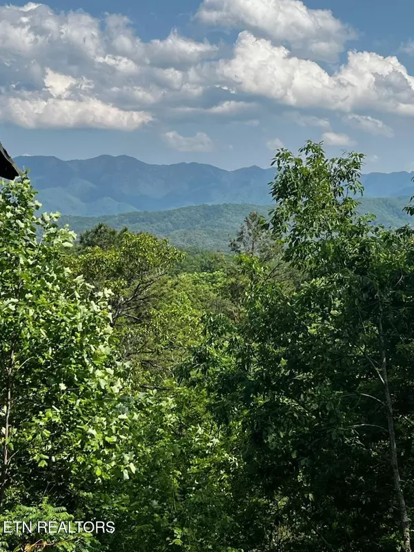 Gatlinburg, TN 37738,000 Vista DR
