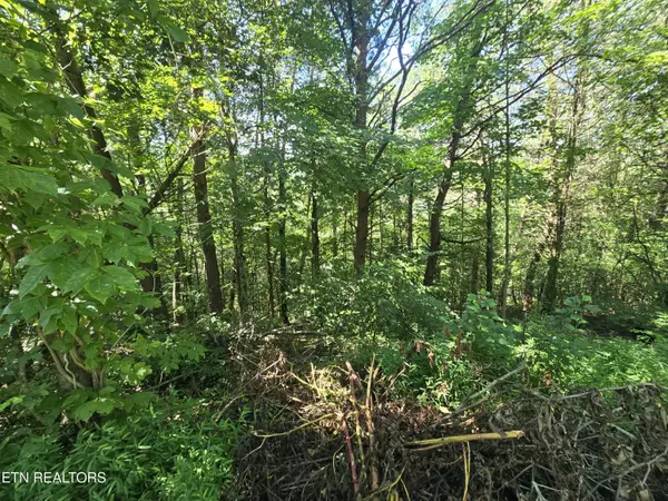 Sevierville, TN 37876,Lot 25 Crestview CT