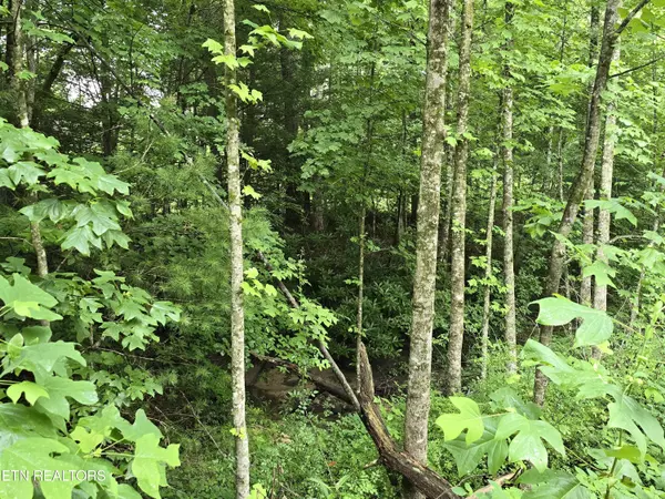 Jamestown, TN 38556,lot 244 Walking Horse DR