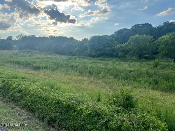 Louisville, TN 37777,3436 Little Dug Gap Rd