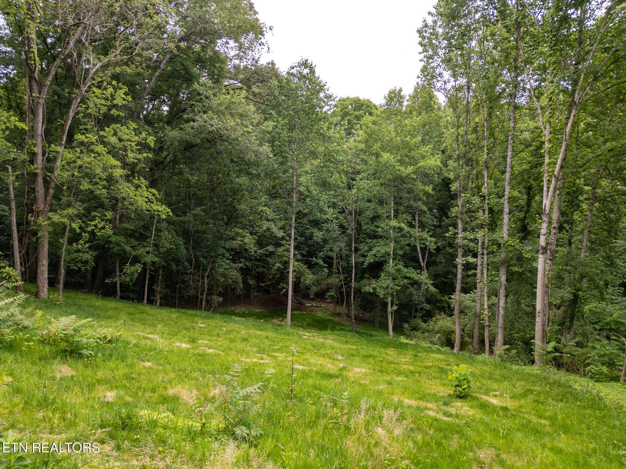 800 Lake Forest DR, Lenoir City, TN 37772