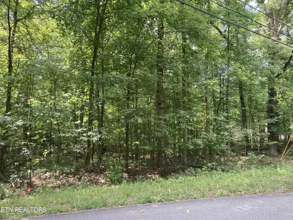 Baneberry, TN 37890,Lot 1069 Iron Gate DR