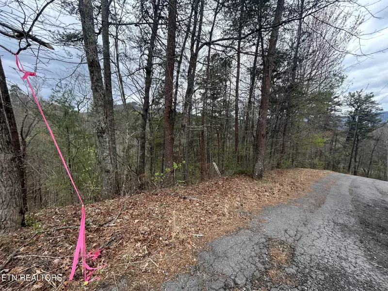Lot 007B Shagbark Hickory Ridge, Sevierville, TN 37862