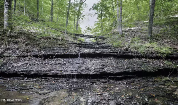 Whitleyville, TN 38588,1005 Birdwell Rd