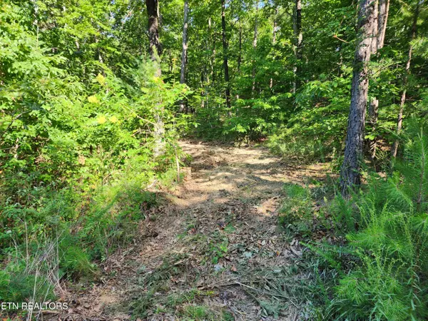 Maryville, TN 37803,5027 Allegheny Cove WAY