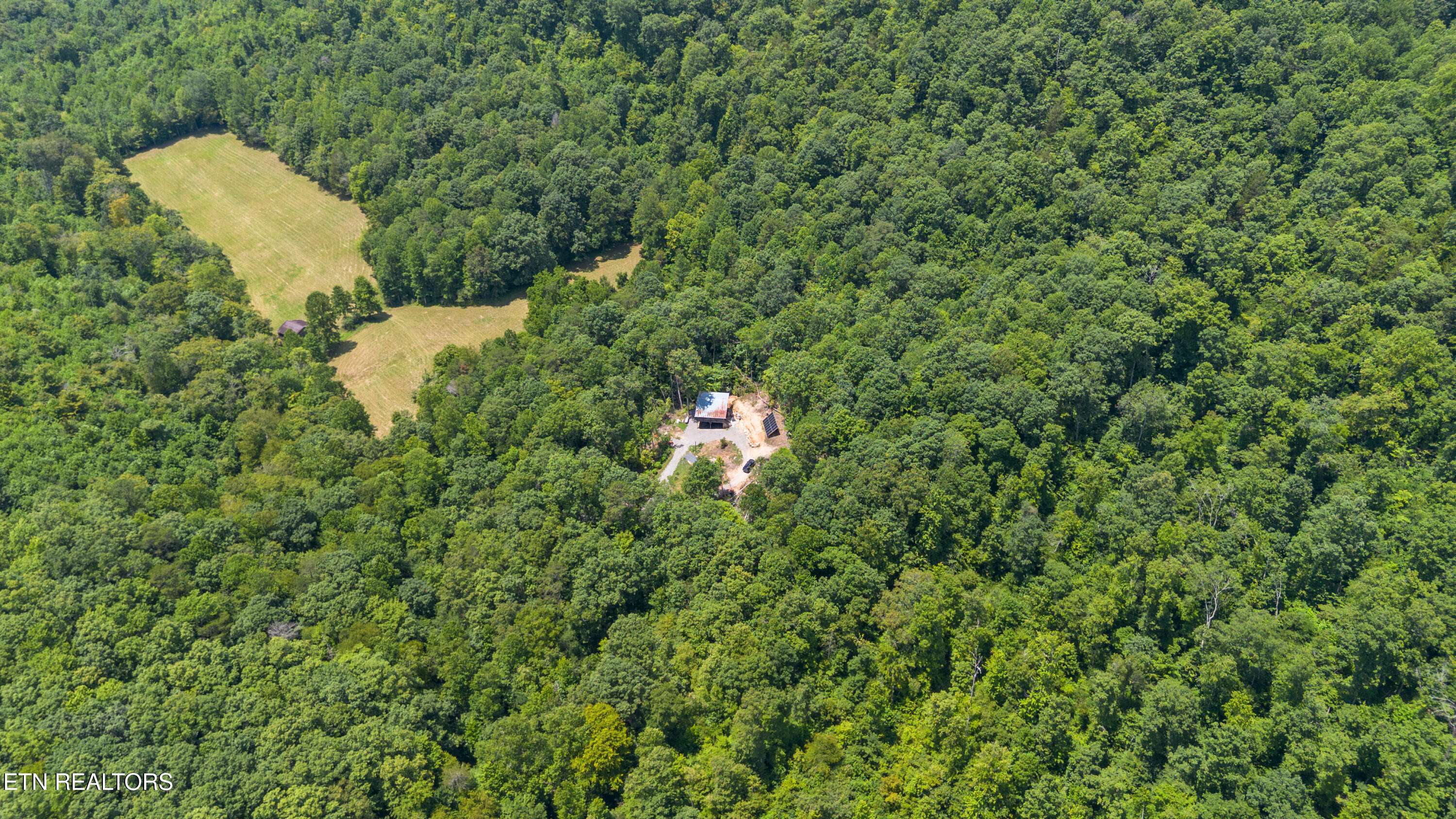 Speedwell, TN 37870,184 Tecumseh Tr