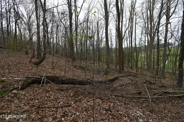 Rutledge, TN 37861,58.5 Acres Greenlee Rd