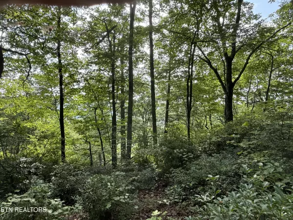 Monterey, TN 38574,855 Eastridge PASS