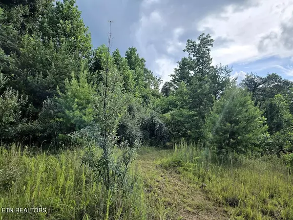 Robbins, TN 37852,Tract 1 Grassy Knob Road