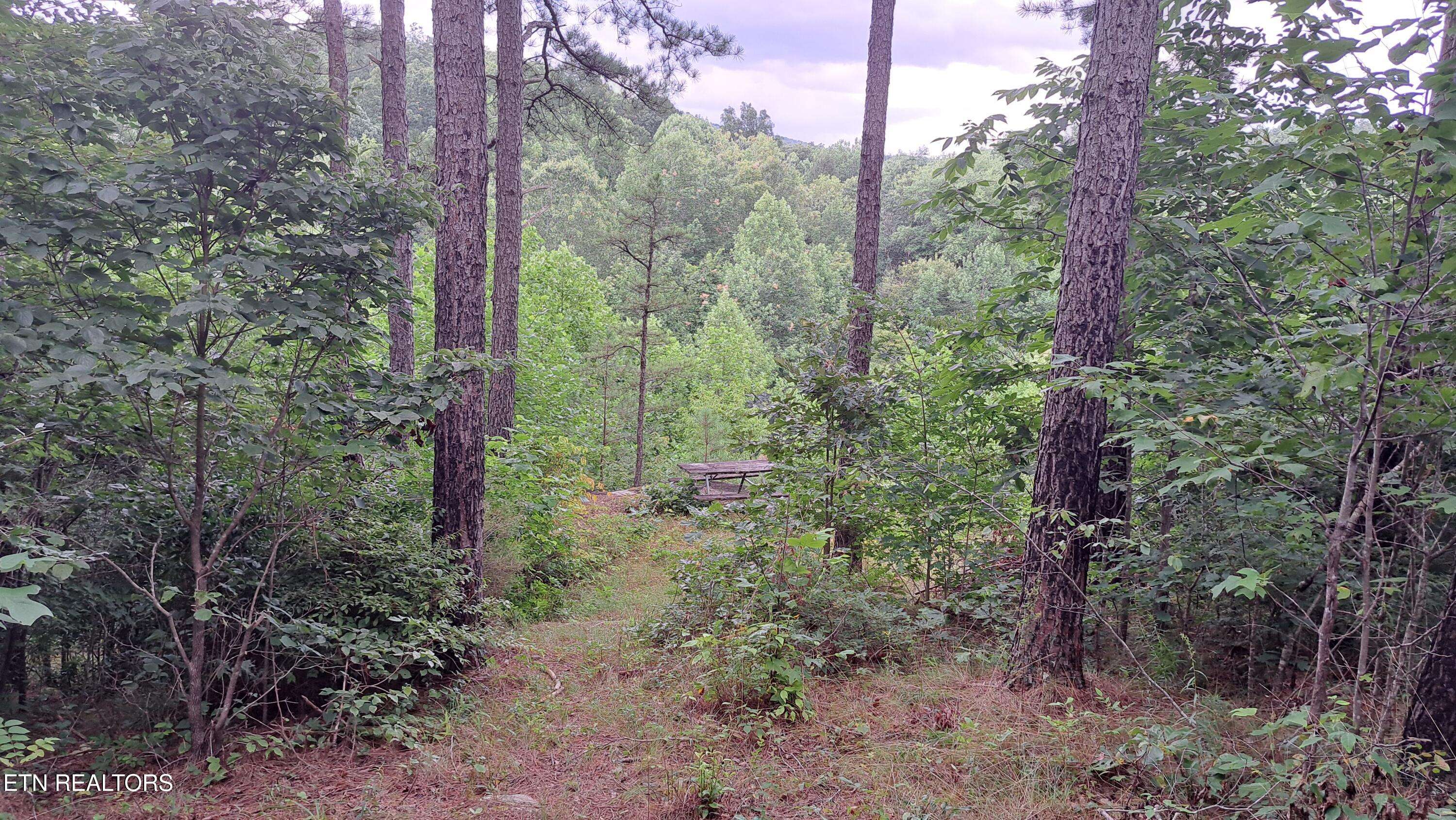 Crossville, TN 38572,899 Flat Rock Rd