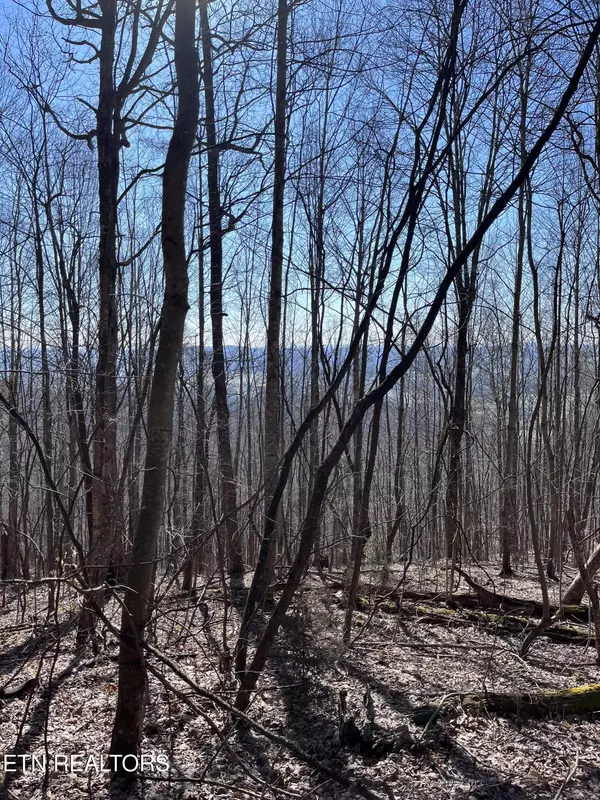 Speedwell, TN 37870,Watson Branch LN